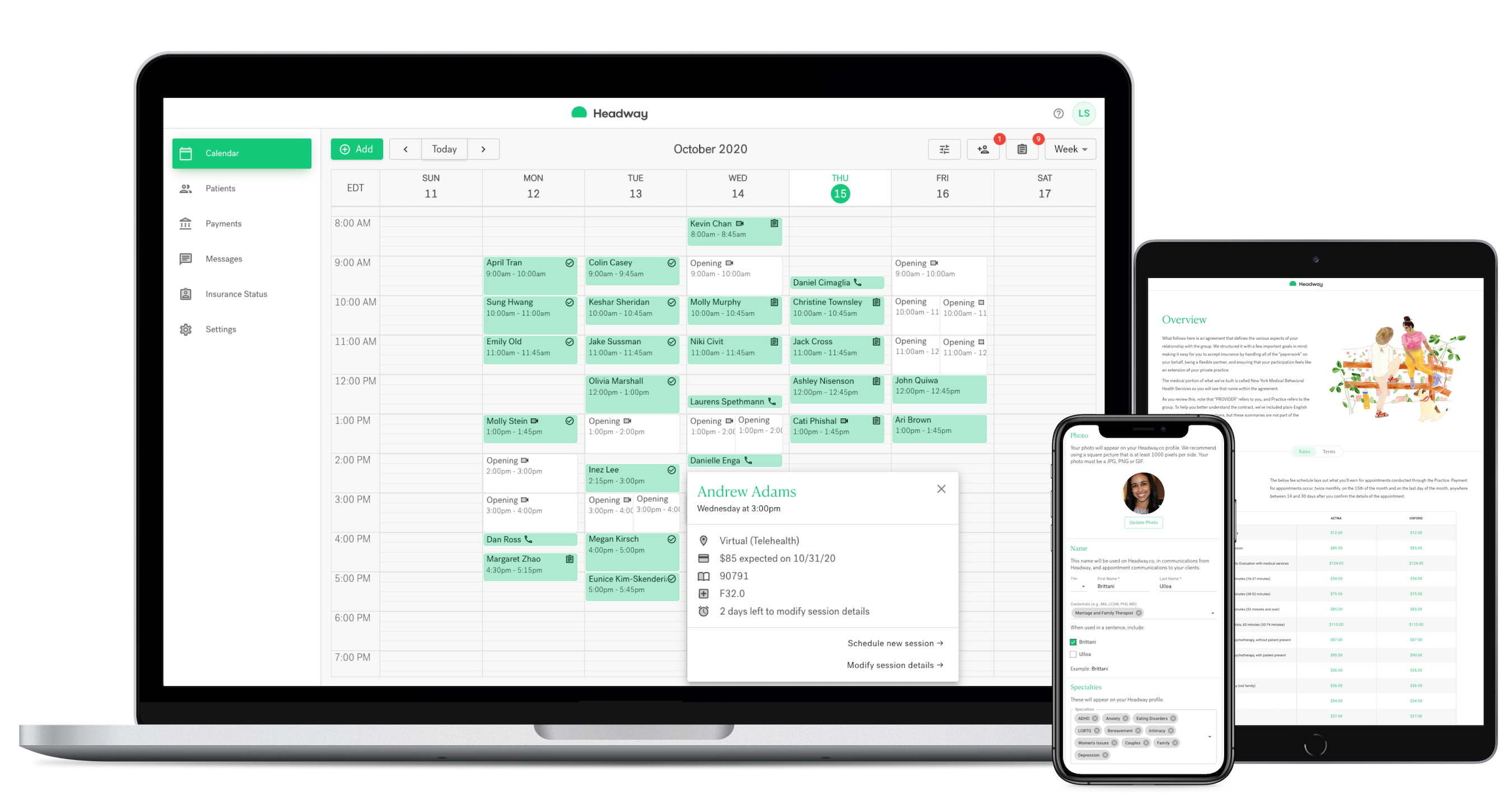 Headway's therapist product